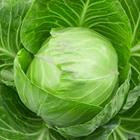 Answer Cabbage