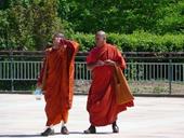 Antworten Mönche,Buddha,Religion