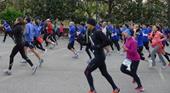 Antworten Marathon, Teilnehmer, Laufschuhe
