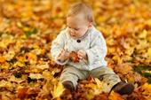 Отговор листья,свитер,осень