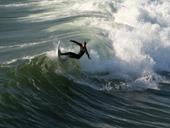 Répondre néoprène, équilibre, planche de surf