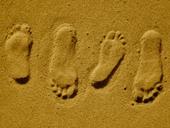 Answer footprint, toes, two