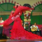 Answer flamenco