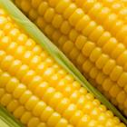 Answer Corn