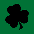 Respuesta Irlanda