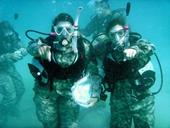 Answer scuba dive, snorkel, Camouflage