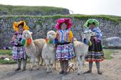 Answer colorful, llamas, dresses
