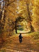 Answer autumn, foliage, bicycle helmet