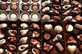 Answer chocolates, shell, seahorse