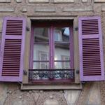 Respuesta Púrpura,ventana