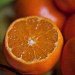 Risposta agrume,arancione